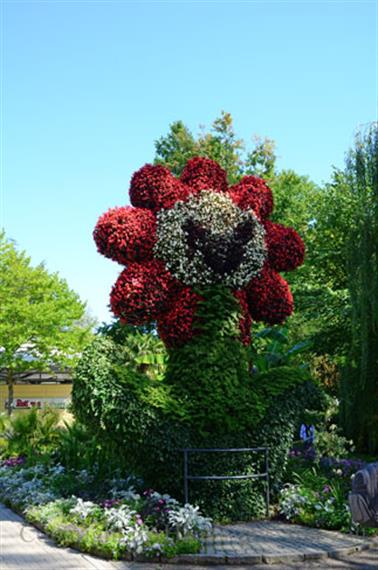 2020 09 03 Insel Mainau,_DSD_7124_b_488px